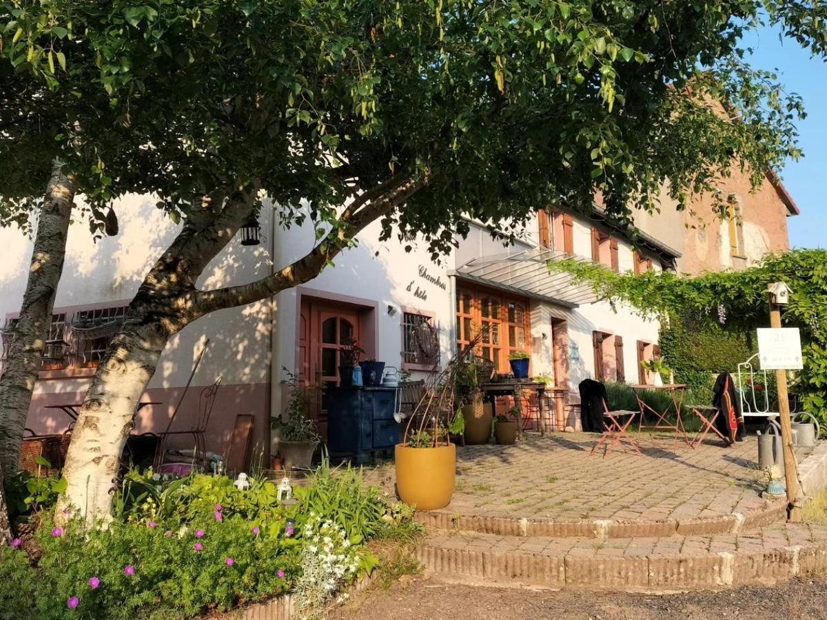 Les Capucines La Souris Des Champs Apartman Étival-Clairefontaine Kültér fotó