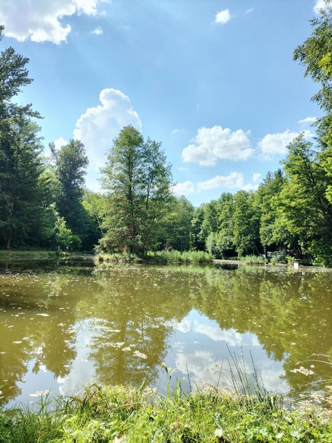 Les Capucines La Souris Des Champs Apartman Étival-Clairefontaine Kültér fotó
